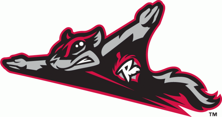 Richmond Flying Squirrels iron ons